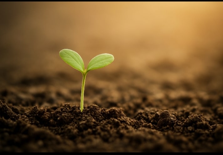 The Beauty of Starting Small When Life Feels Overwhelming